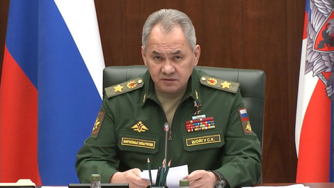 Лавров прокомментировал слухи о здоровье Шойгу