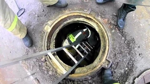 Спасатели вытащили щенка, провалившегося в колодец в Донском