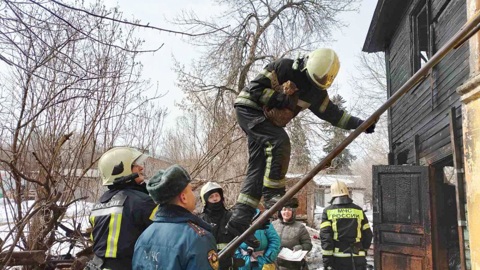В Муроме при пожаре сотрудники МЧС спасли двух кошек