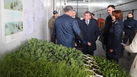Волгоградская область намерена стать лидером по производству овощей