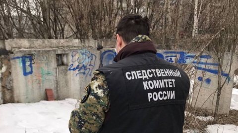 Житель Ярославля подозревается в убийстве матери