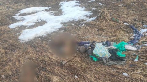 В Калужской области нашли останки мужчины