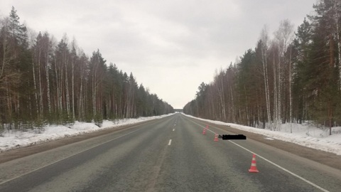 На трассе в Марий Эл нашли труп мужчины