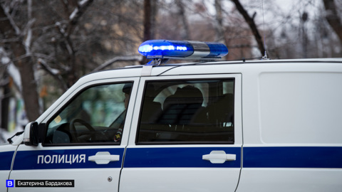 Мужчина избил замдиректора музея за замечание не справлять нужду