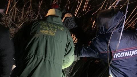 В поле под Липецком прохожие нашли человеческие останки