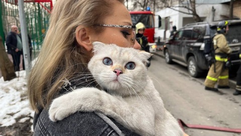 Восемь человек и кошка спасены при пожаре в столице