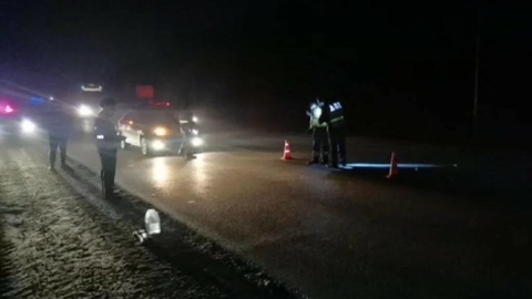 На трассе под Екатеринбургом фура насмерть сбила пешехода