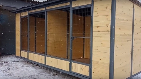 Астраханец избивал и держал в собачьем вольере 10-летнюю дочь
