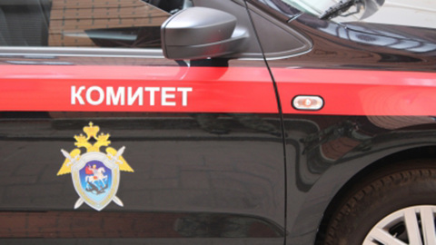 В Ленобласти младенец из многодетной семьи утонул в ванночке