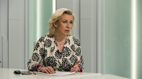 Захарова: признание РФ террористическим государством — экстремизм