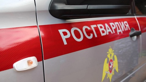 Под Тулой росгвардейцы застрелили буйного пациента, напавшего на врачей