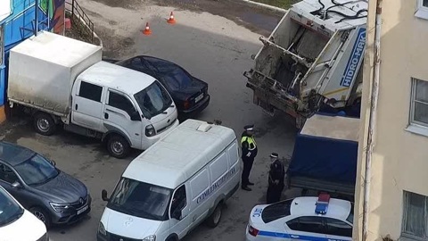 Ответственных за отлов собак липецких чиновников ждет уголовное дело