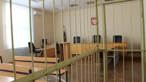 Перед судом предстанет мать 6-летнего ребенка, которого загрызли псы