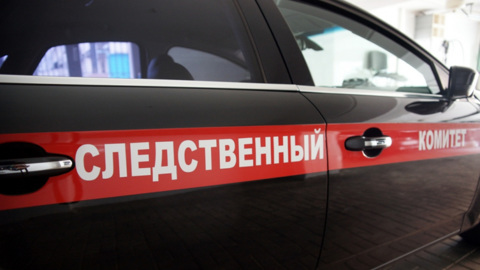 Красноярский экс-лесничий задержан в Сочи за многомиллионную взятку