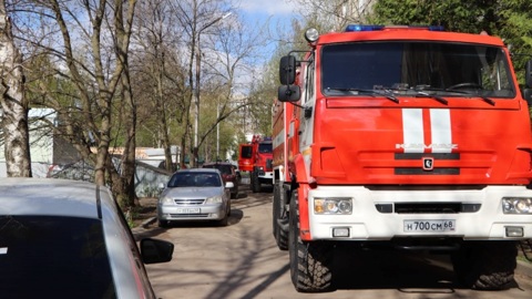 В Тамбове бабушка спасла из огня четырех внуков