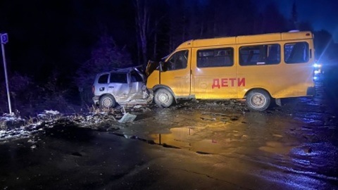В Приангарье возбудили дело после ДТП с детдомовцами