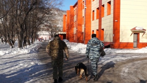 На Камчатке снова эвакуировали школы и городскую администрацию