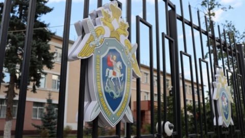 Следком выступил за создание реестра педофилов