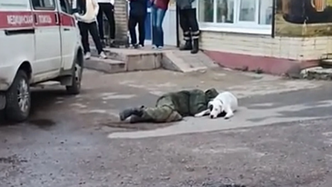 Собака 3 часа не подпускала врачей к потерявшему сознание хозяину