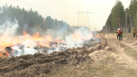 В Курганской области 700 человек тушат лесные пожары