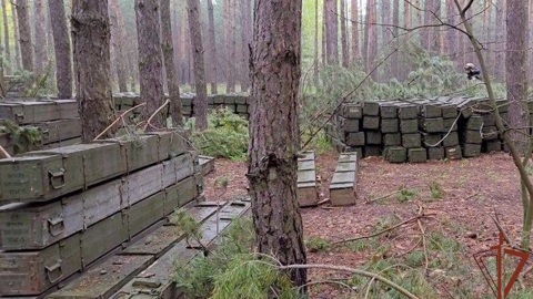 Росгвардейцы нашли сотни боеприпасов к "Граду", спрятанные под Харьковом