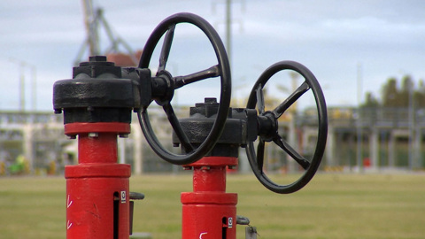 Стало известно о скрытых закупках российской нефти