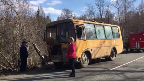На Урале школьный автобус с детьми врезался в грузовик