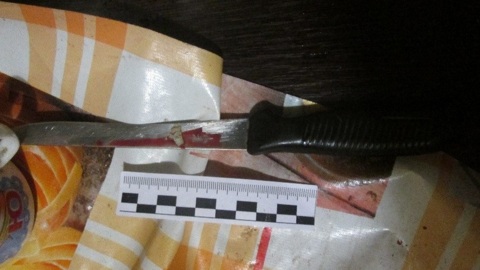 В смоленском поселке вечеринка закончилась убийством