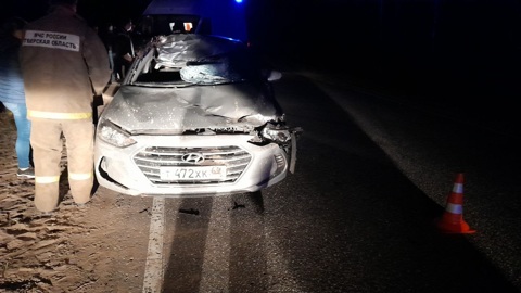 В Тверской области в ДТП пострадали лось и юноша