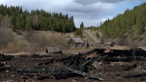 В Прикамье произошел крупный лесной пожар из-за возгорания домов