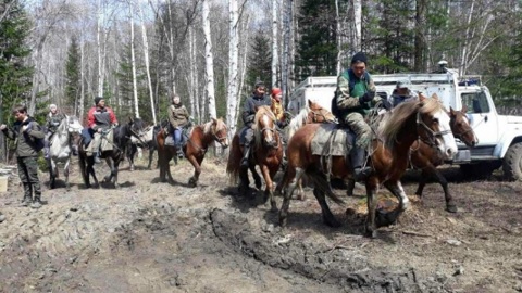 Пропавшего в Бурятии 12-летнего ребенка нашли мертвым в лесу