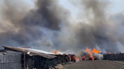 Пострадавшим от огня в Красноярском крае окажут помощь