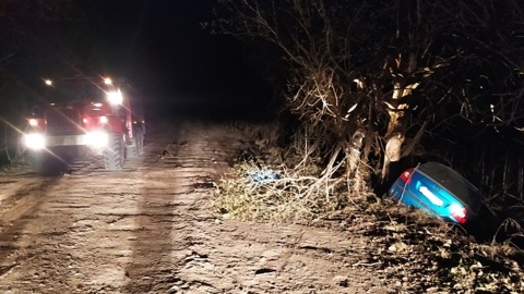 В Тверской области мужчина разбился насмерть, врезавшись в дерево