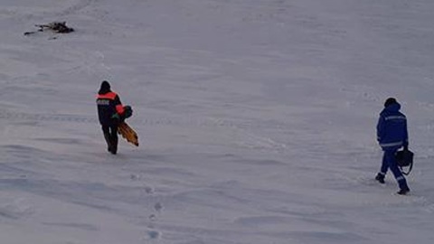На Ямале олени насмерть затоптали тундровика