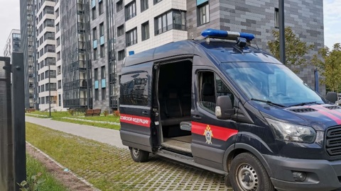 Девушка в Ленобласти пыталась зарезать и застрелить своего отца