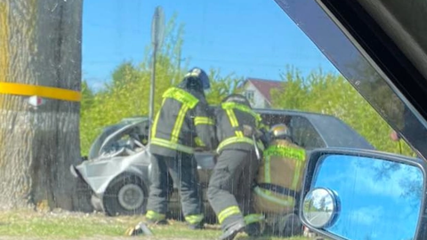 Под Калининградом автомобилист врезался в дерево