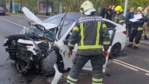 Паук спровоцировал аварию в Новой Москве