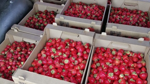 Карелия готова поставлять свою продукцию в Иран, Саудовскую Аравию, Индию