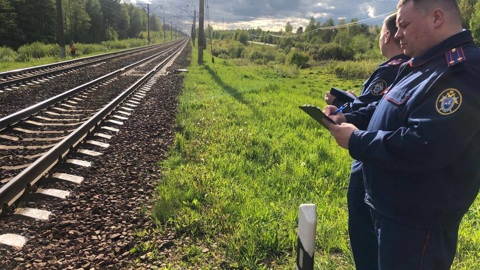 В Подмосковье электричка насмерть сбила женщину с младенцем