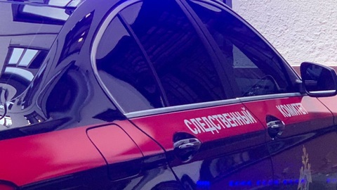 Москвич во время ссоры забил до смерти пожилую мать
