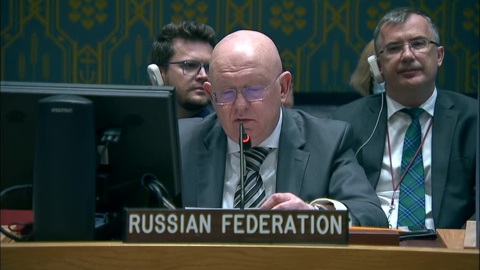 Небензя не стал слушать Мишеля