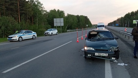 На тюменской трассе автомобиль насмерть сбил лося