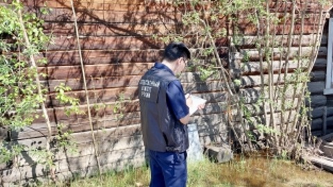В Якутии возбуждено дело после гибели девочки от удара током