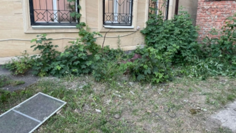 В Ставрополе молодая мама выпала из окна роддома