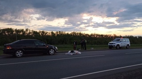 На оренбургской трассе насмерть сбили пытавшегося поймать попутку мужчину