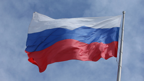 Томскую школьницу подозревают в сожжении флага России