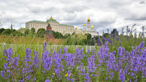 Москву ждет летнее тепло и много солнца