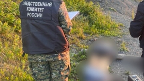 Два восьмилетних мальчика утонули в реке под Пермью