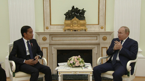 Украина, удобрения, зерно: начались переговоры Путина и Видодо