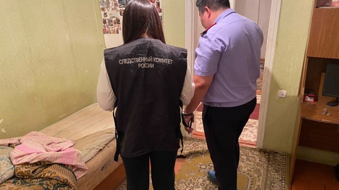В Калмыкии задержан подозреваемый в убийстве ребенка топором